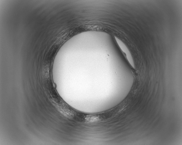 X0000078890602200612111807