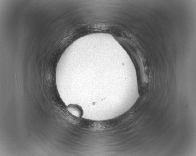 X0000078890608200612111807