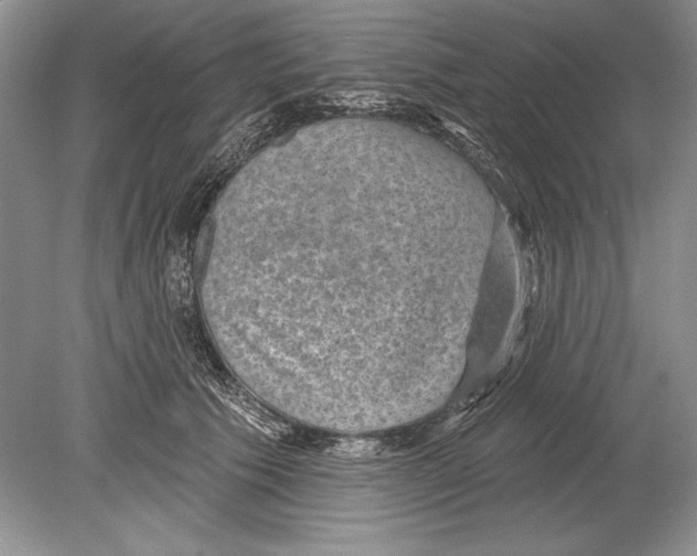 X0000078890609200612111807