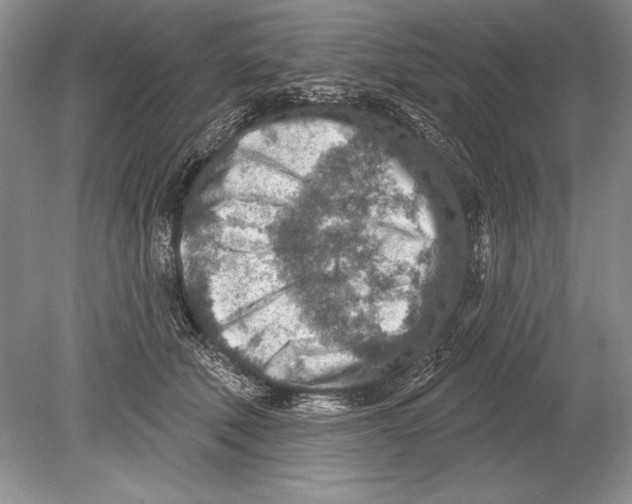 X0000078890610200612111807