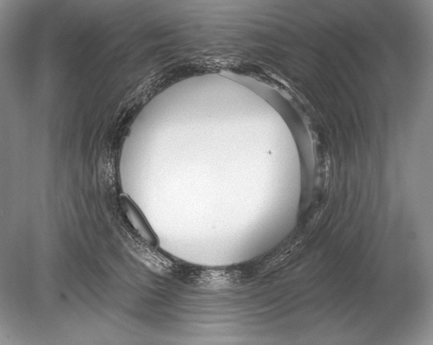 X0000078890613200612111807