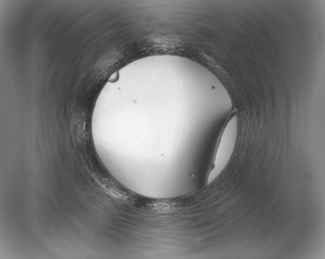 X0000078890615200612111807