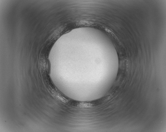 X0000078890617200612111807