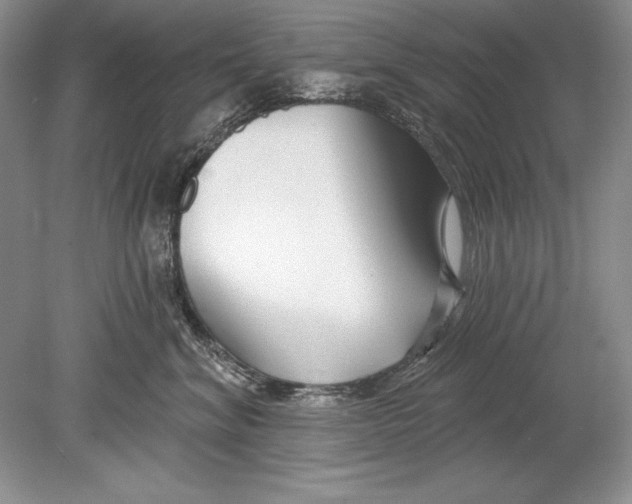 X0000078890620200612111807