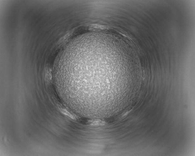 X0000078890621200612111807