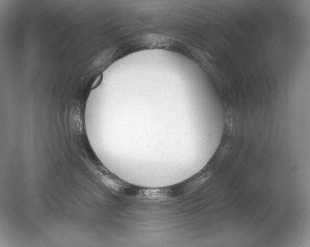 X0000078890622200612111807