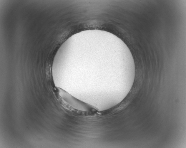 X0000078890624200612111807