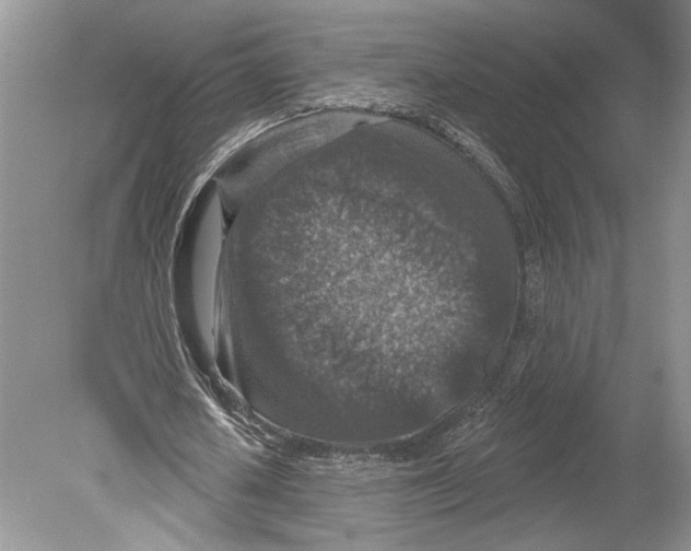 X0000078890626200612111806