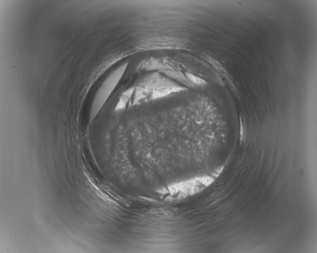 X0000078890627200612111806