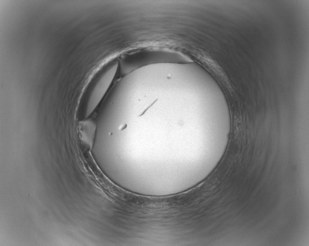 X0000078890628200612111806