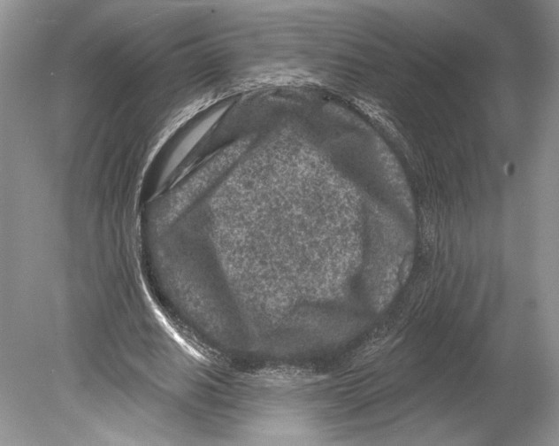 X0000078890630200612111806