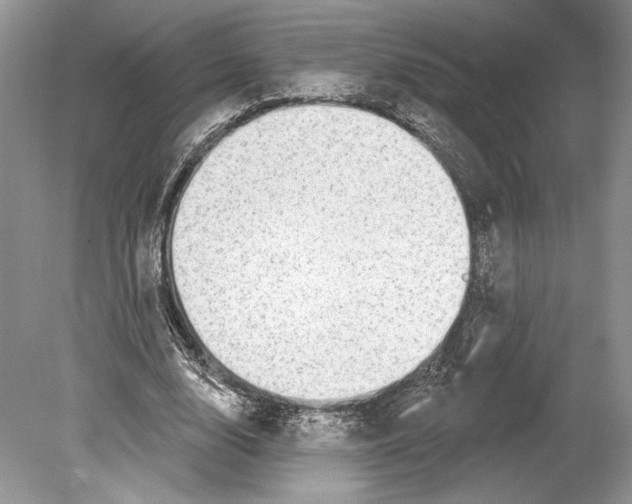 X0000078890632200612111806