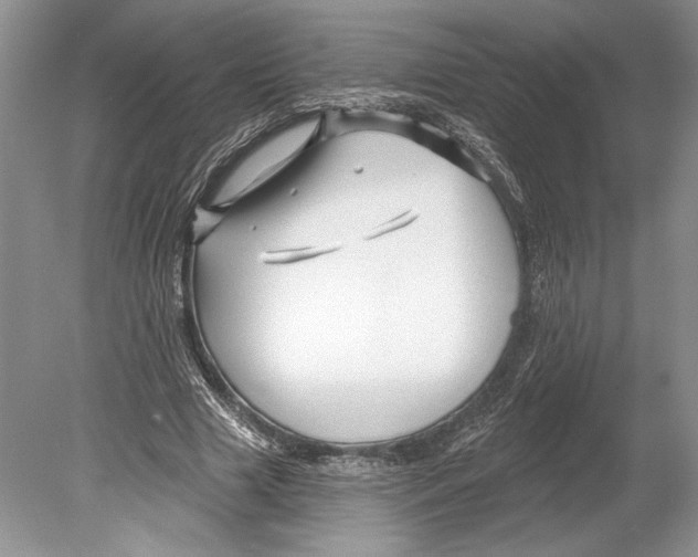 X0000078890633200612111806