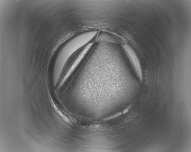 X0000078890634200612111806