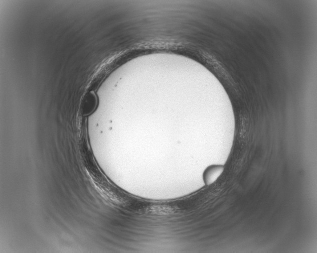 X0000078890636200612111806