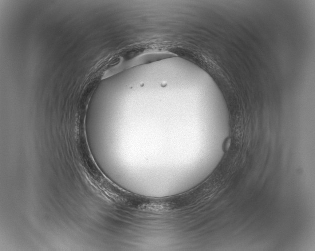 X0000078890639200612111806