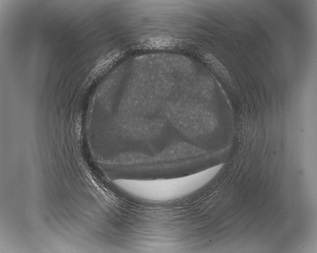 X0000078890640200612111806