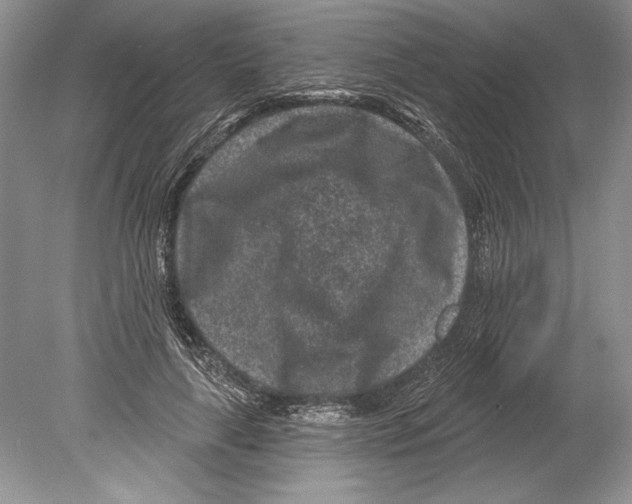 X0000078890643200612111806