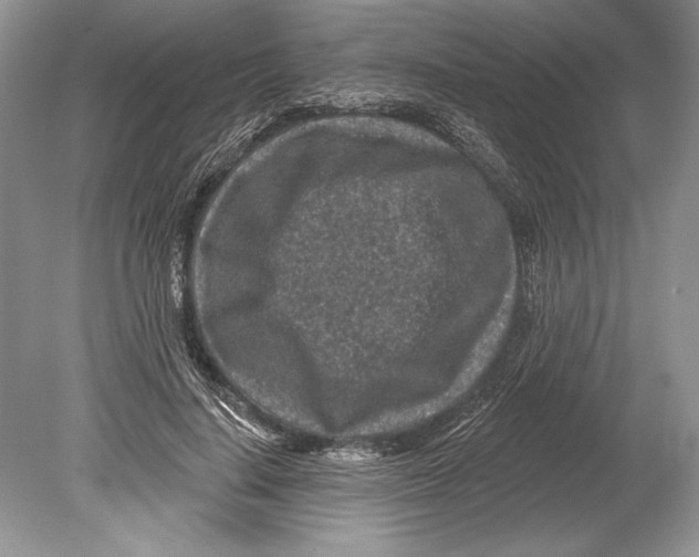 X0000078890644200612111806