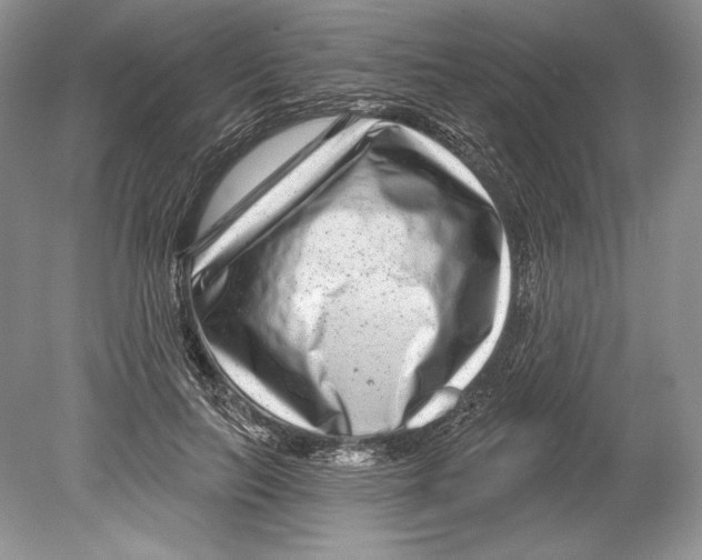 X0000078890647200612111806