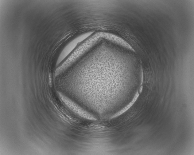 X0000078890648200612111806