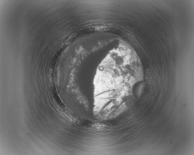 X0000078890650200612111806