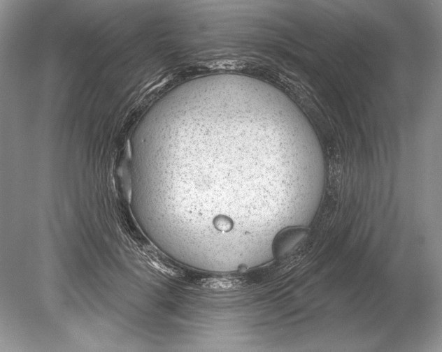 X0000078890652200612111806