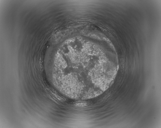 X0000078890653200612111806