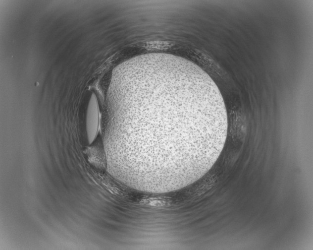 X0000078890655200612111806