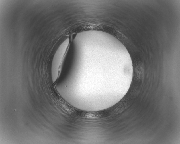 X0000078890657200612111806