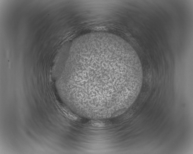 X0000078890658200612111806