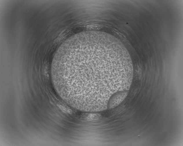 X0000078890663200612111807