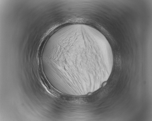 X0000078890674200612111806