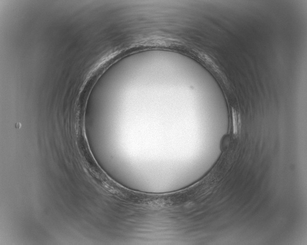 X0000078890675200612111806