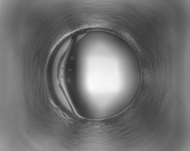 X0000078890676200612111806