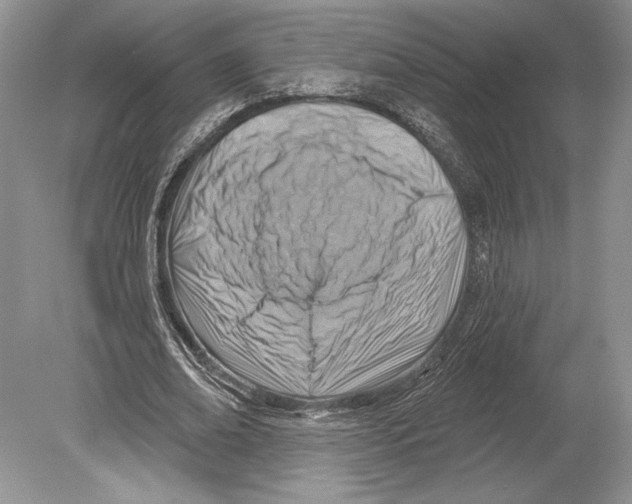 X0000078890678200612111806