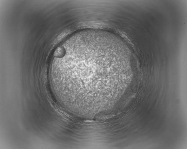 X0000078890679200612111806