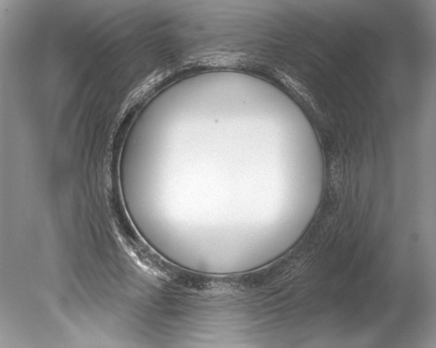 X0000078890682200612111806