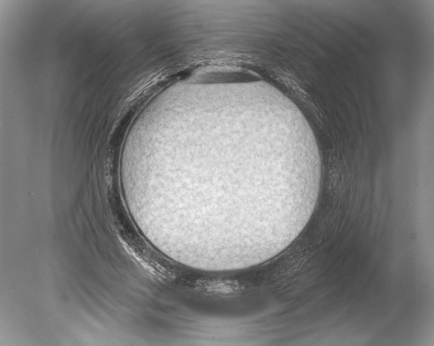 X0000078890683200612111806