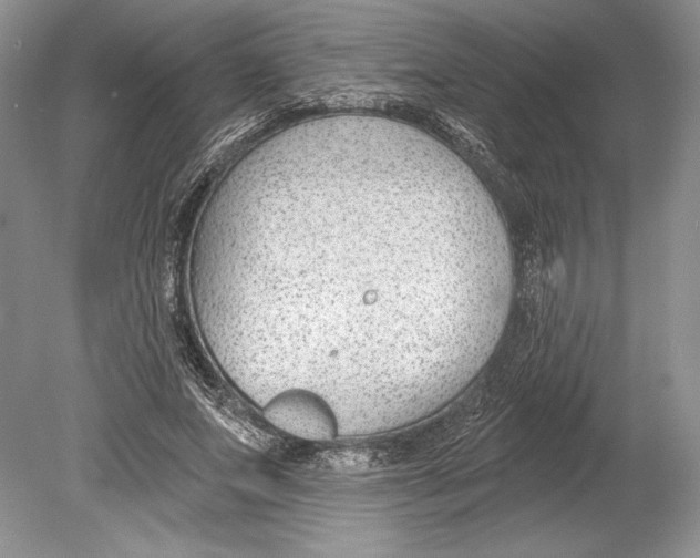 X0000078890687200612111806