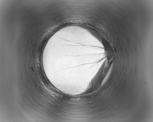 X0000078890688200612111806