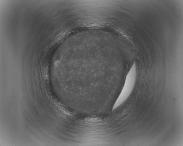 X0000078890689200612111806