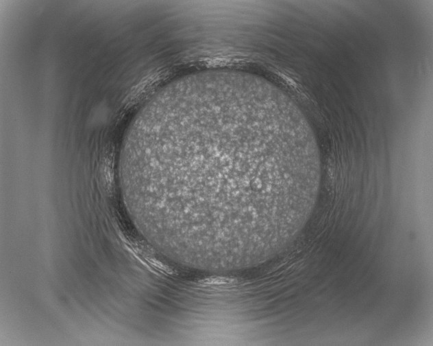 X0000078890691200612111806