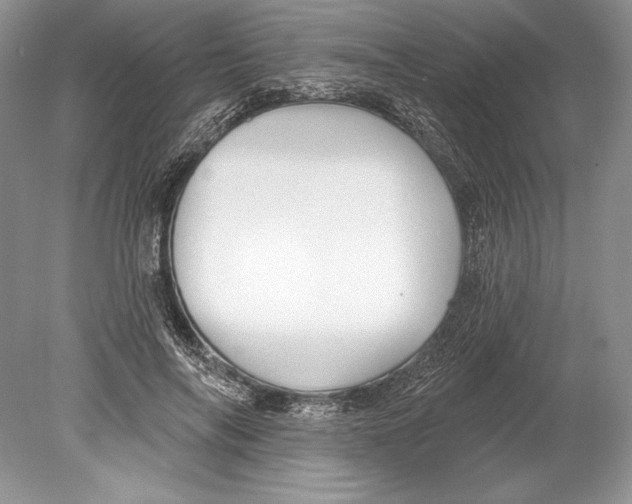 X0000078890694200612111805