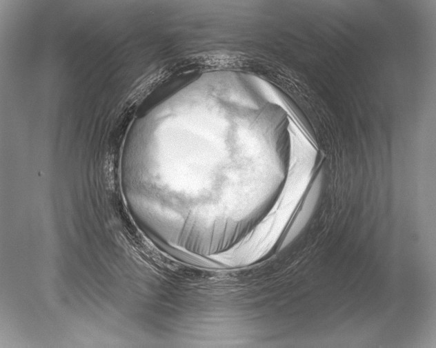 X0000078890696200612111805