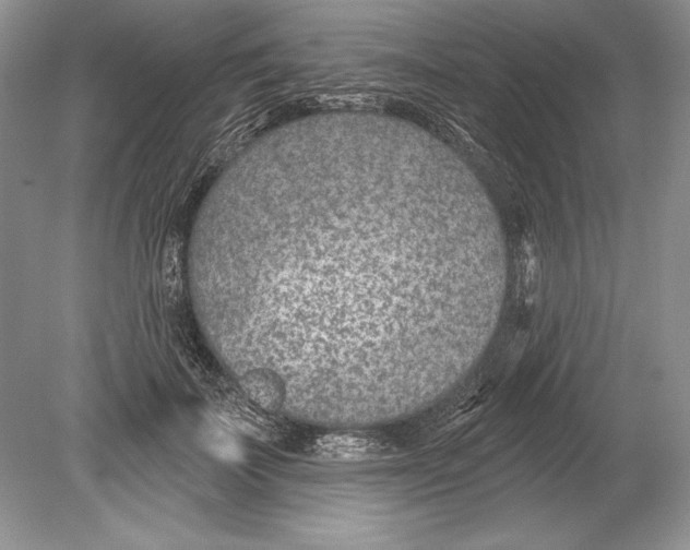 X0000078890699200612111805