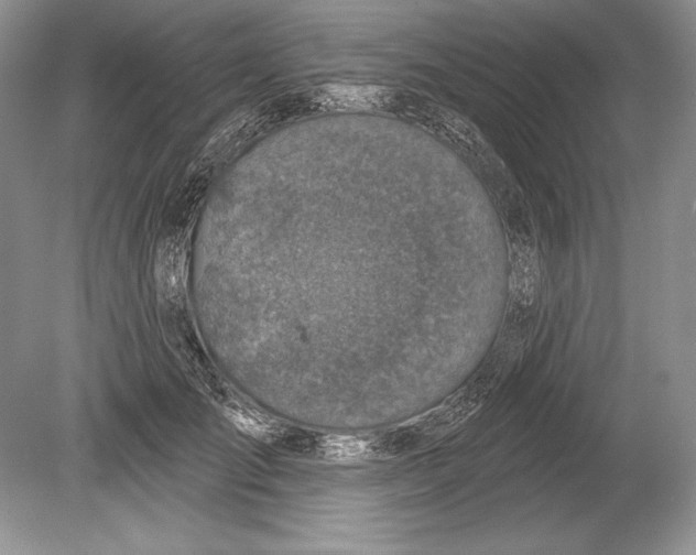 X0000078890701200612111805