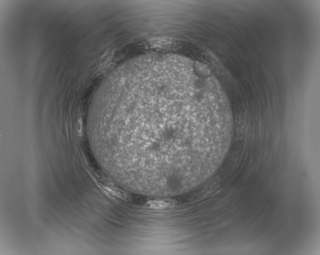 X0000078890703200612111805