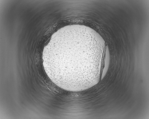 X0000078890704200612111805