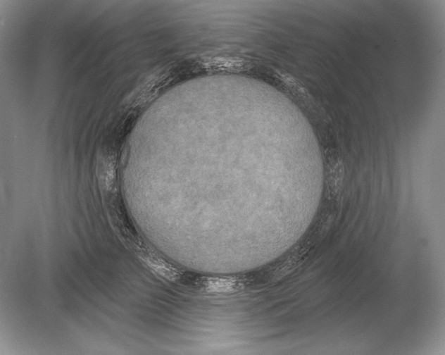 X0000078890709200612111805